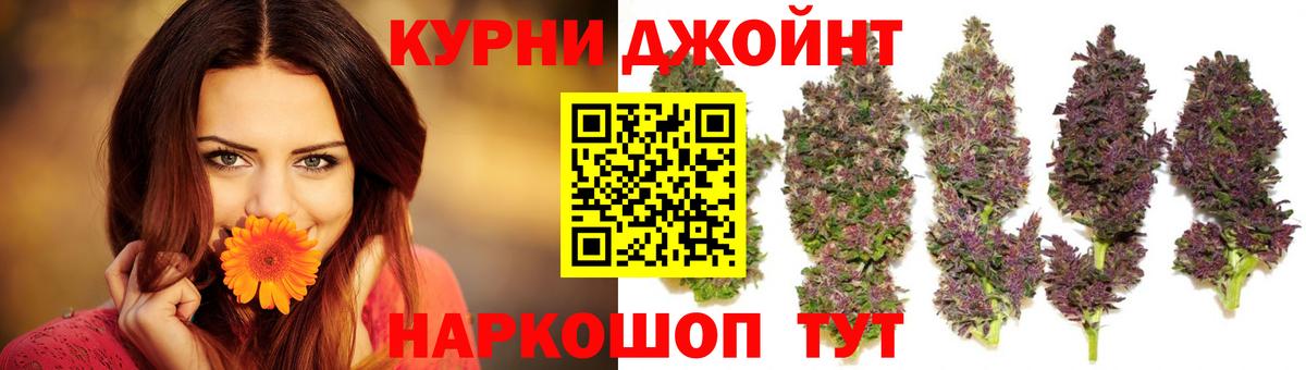 Конопля сатива  Каннабис план  Канабис план  Электрогорск  Вход с VPN  Канабис тримм 